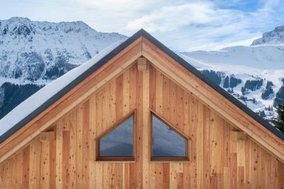 Winter Siding Options